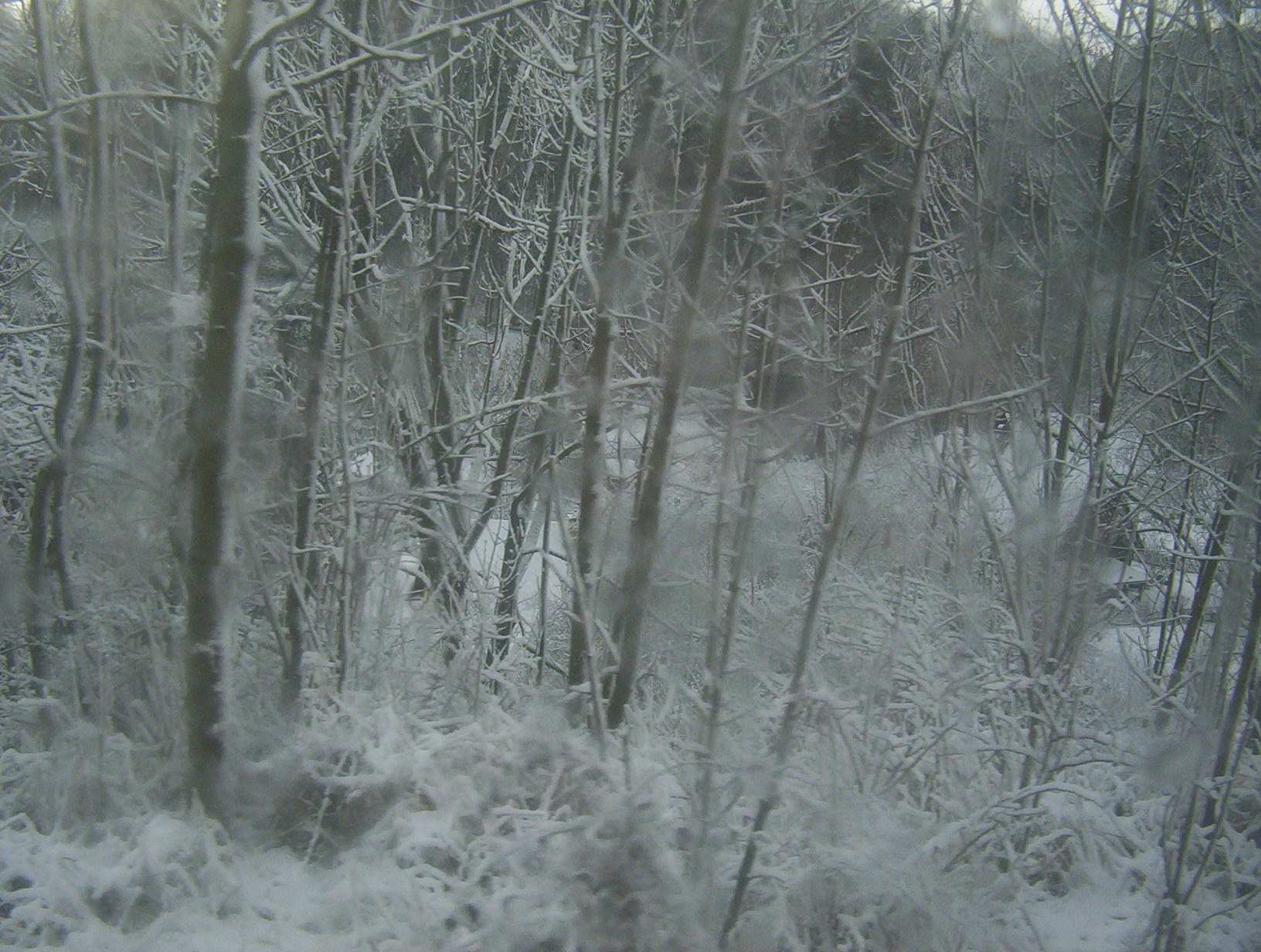Akce-Holice - Meziměstí-8c.jpg