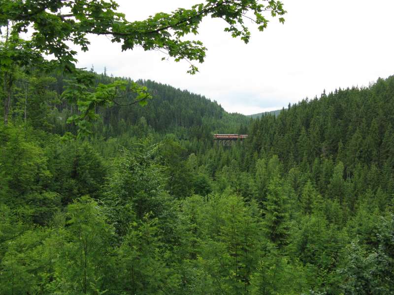 IMG_1929 - velky pohled na viadukt vlak a priroda.jpg