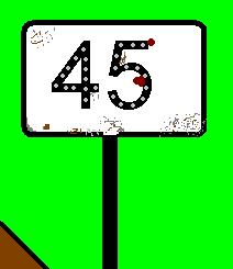 rychlostník stary 45 2.JPG